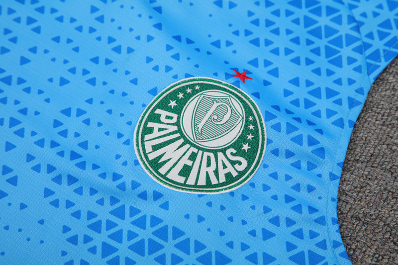 Kit Oficial do Palmeiras 24/25 - Treino