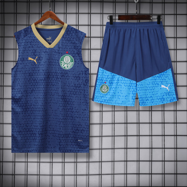 Kit Oficial do Palmeiras 24/25 - Treino