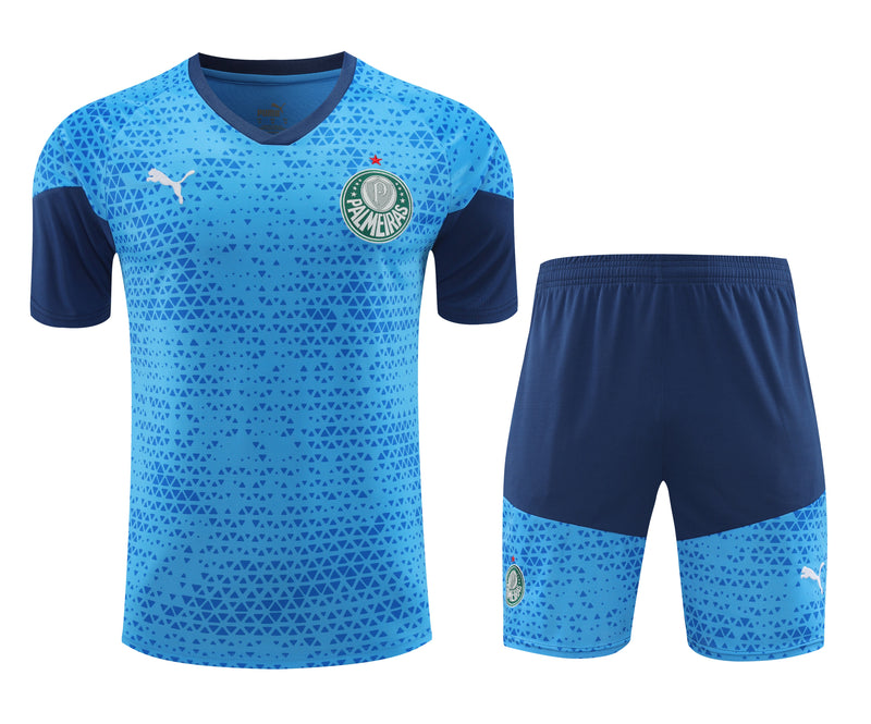 Kit Oficial do Palmeiras 24/25 - Treino