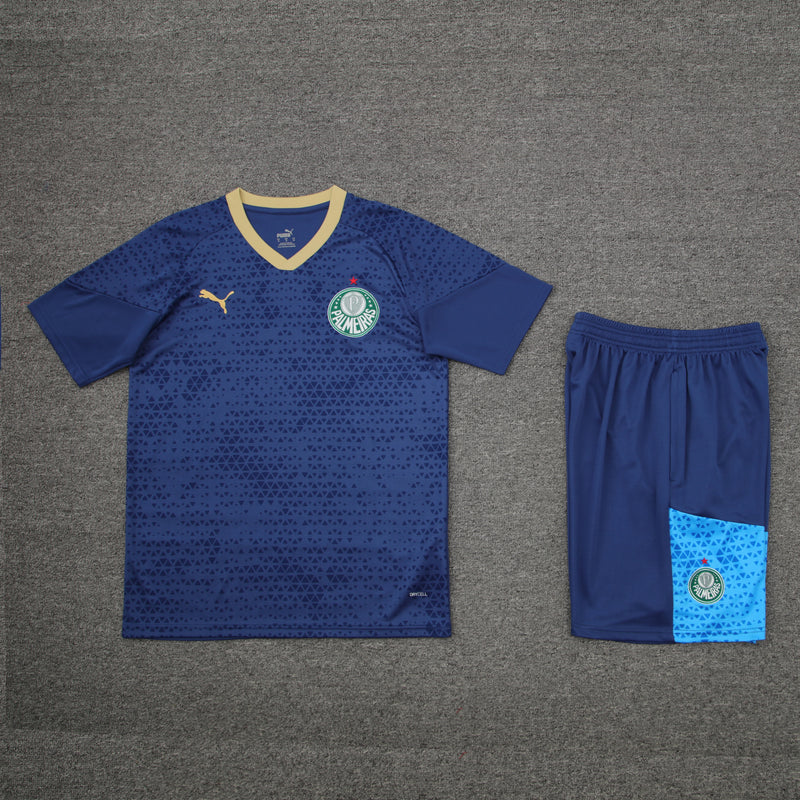 Kit Oficial do Palmeiras 24/25 - Treino