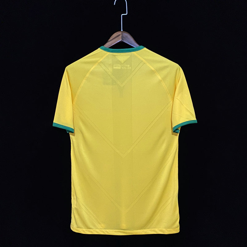 Camisa Retrô do Brasil 2014