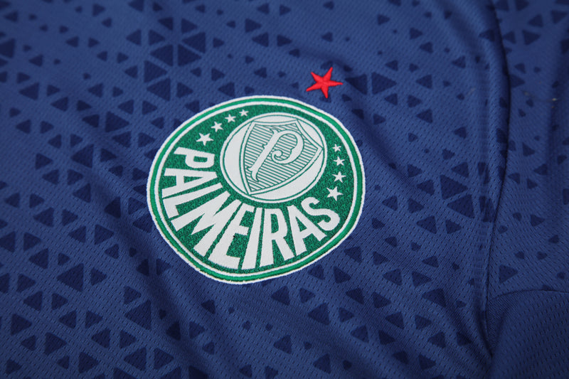 Kit Oficial do Palmeiras 24/25 - Treino