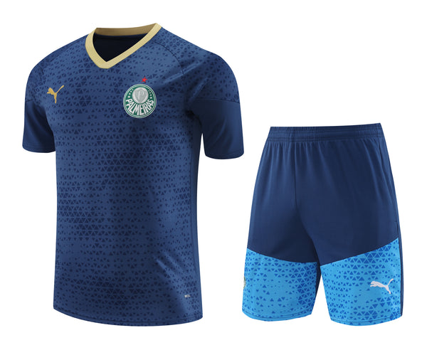 Kit Oficial do Palmeiras 24/25 - Treino